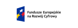 rozwój cyfrowy